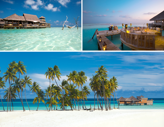 maldives luxury travel carrier