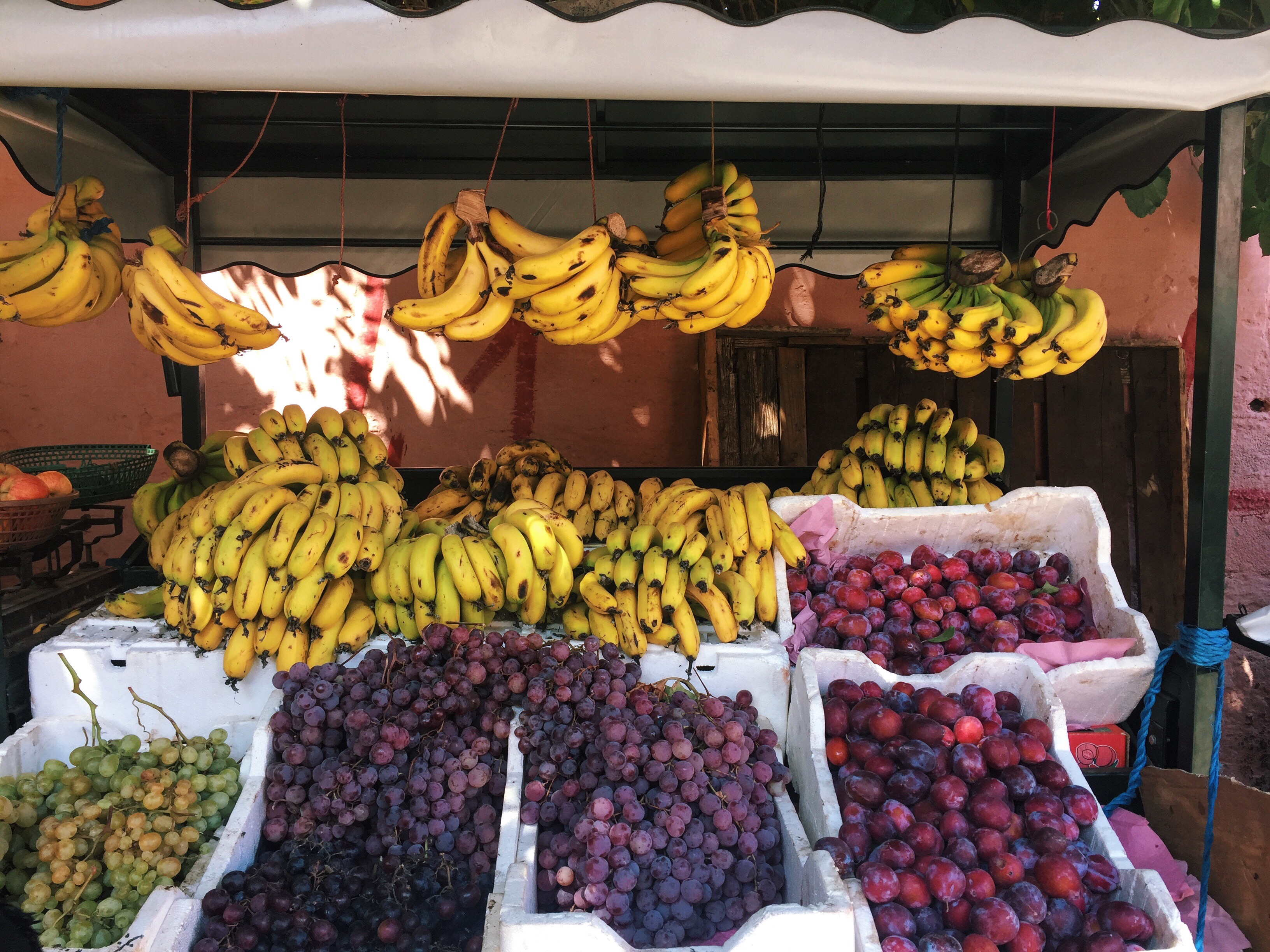 marrakech souks fruit 