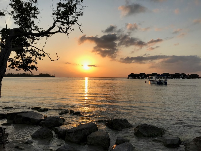 jamaica sunset 